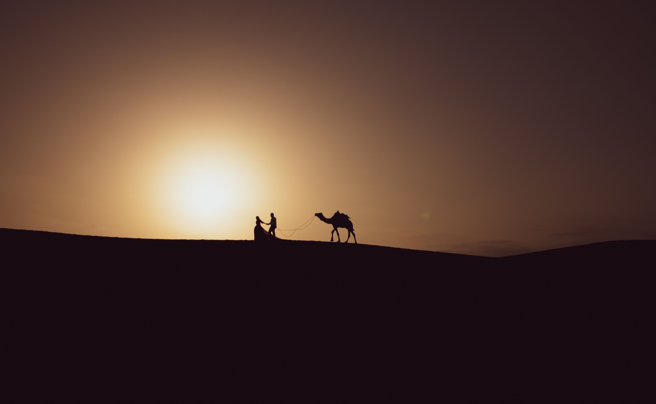 Camel and dunes at sunset in Jaisalmer