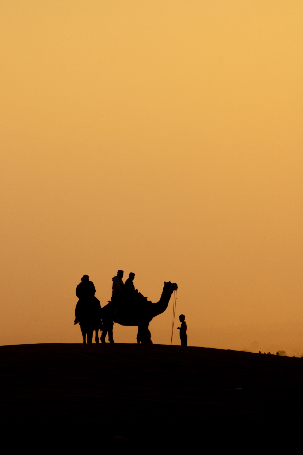 Camel safari silhouette at sunset
